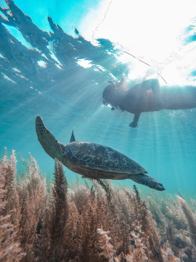 Pescadores Suites Moalboal Kültér fotó
