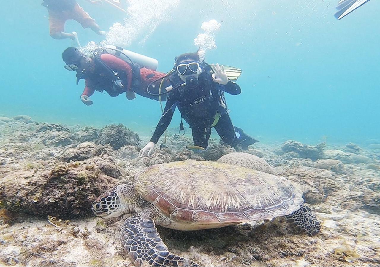 Pescadores Suites Moalboal Kültér fotó